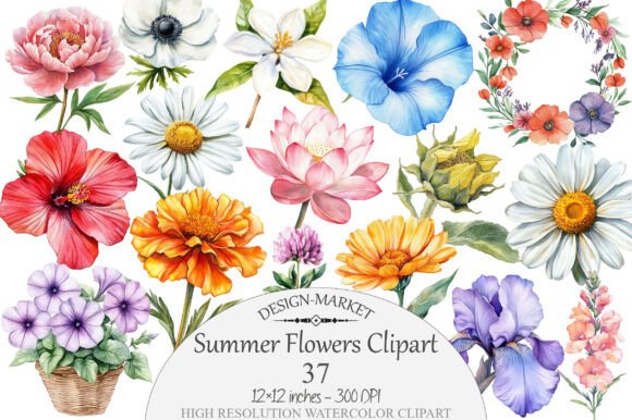 Download Watercolor Summer Flowers Clipart - Summer flowers Collection